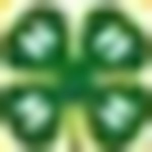 Meet your Posher, Tanya